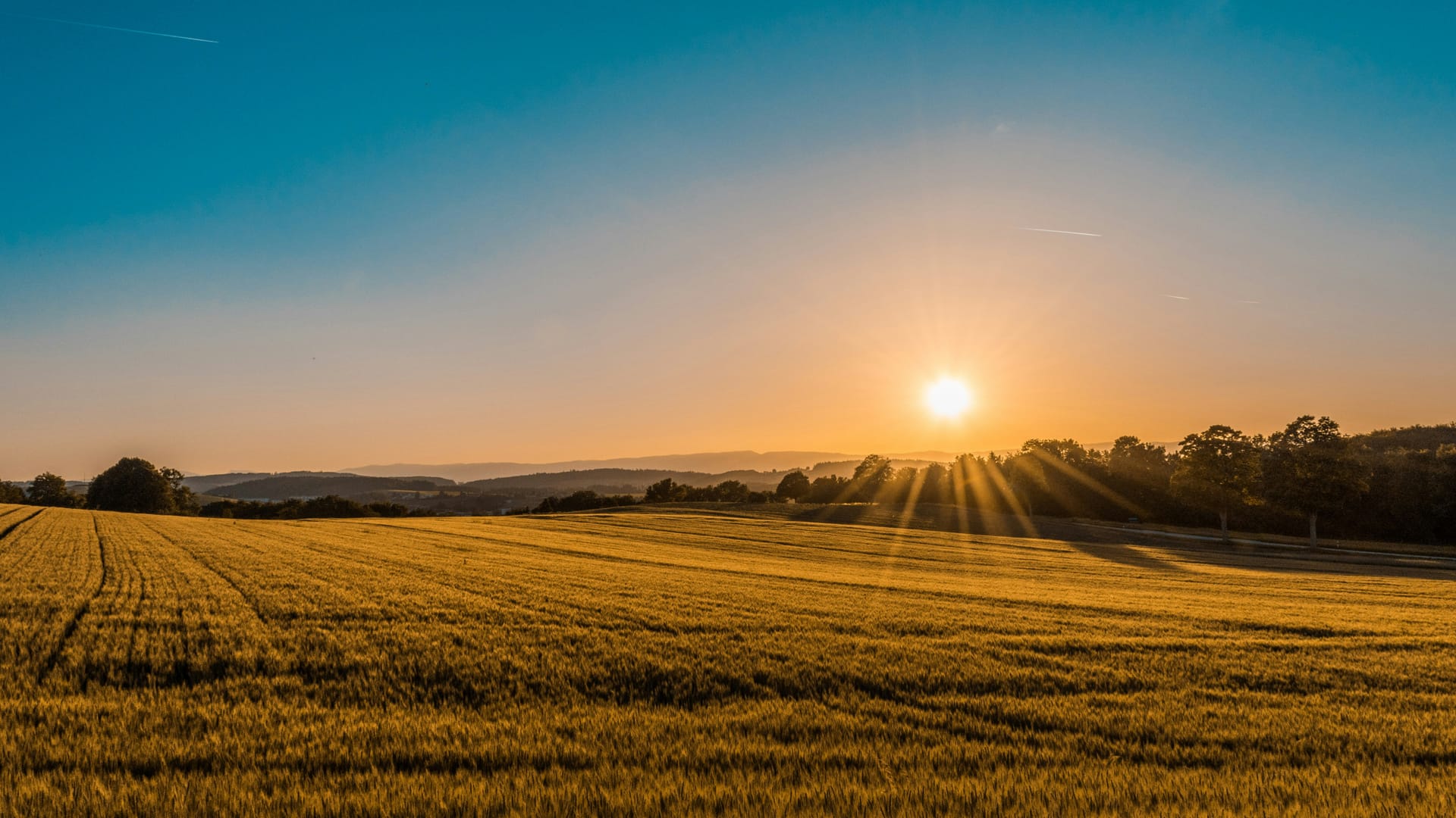 Agribusiness - Astris Law Brisbane commercial law firm