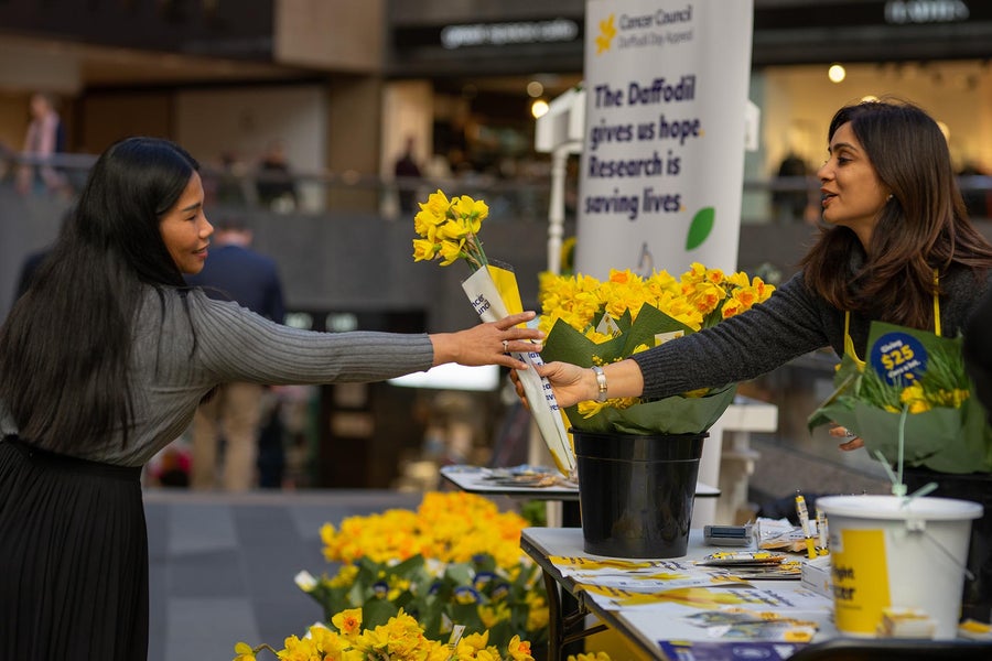 Non-Profit & Charities - Astris Law Brisbane commercial lawyers